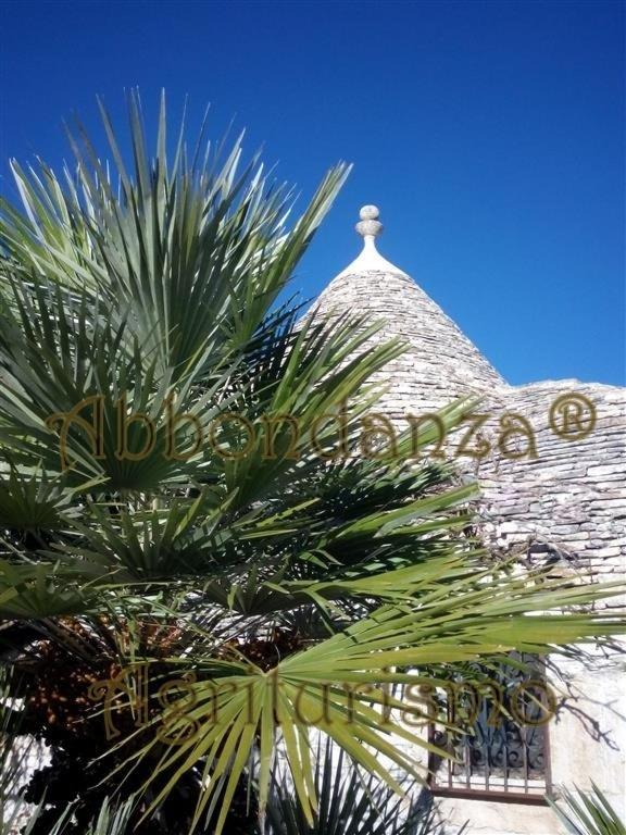 Villa Agriturismo Abbondanza à Alberobello Extérieur photo
