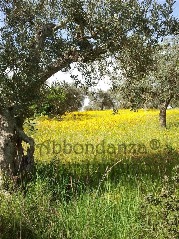 Villa Agriturismo Abbondanza à Alberobello Extérieur photo