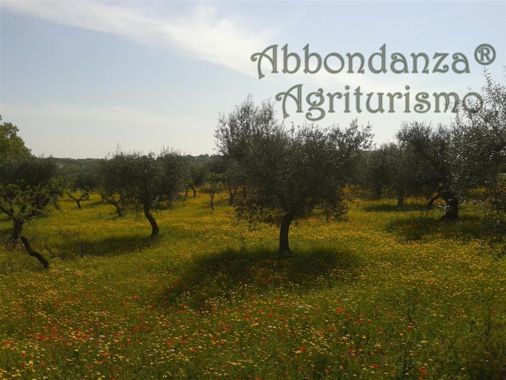 Villa Agriturismo Abbondanza à Alberobello Extérieur photo